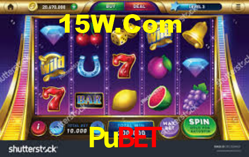 Pubet - Installation Guide