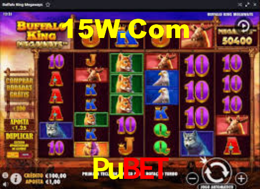Experimente o Login Seguro Premium no Pubet