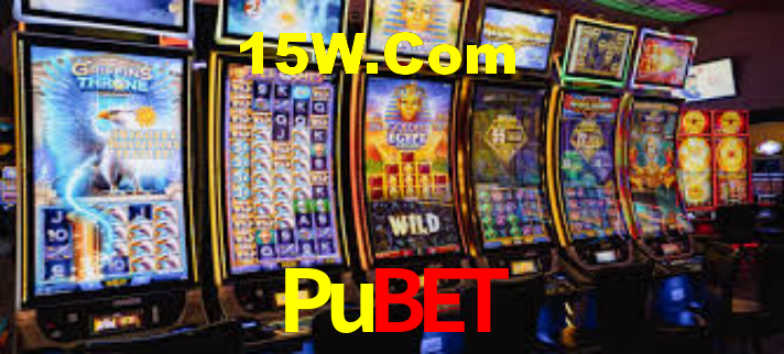 Pubet - App Security