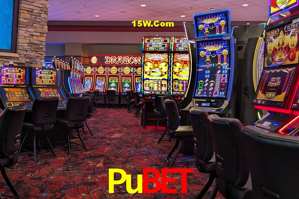 Secure Login Pubet