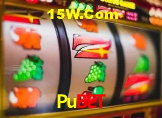 Pubet - Security